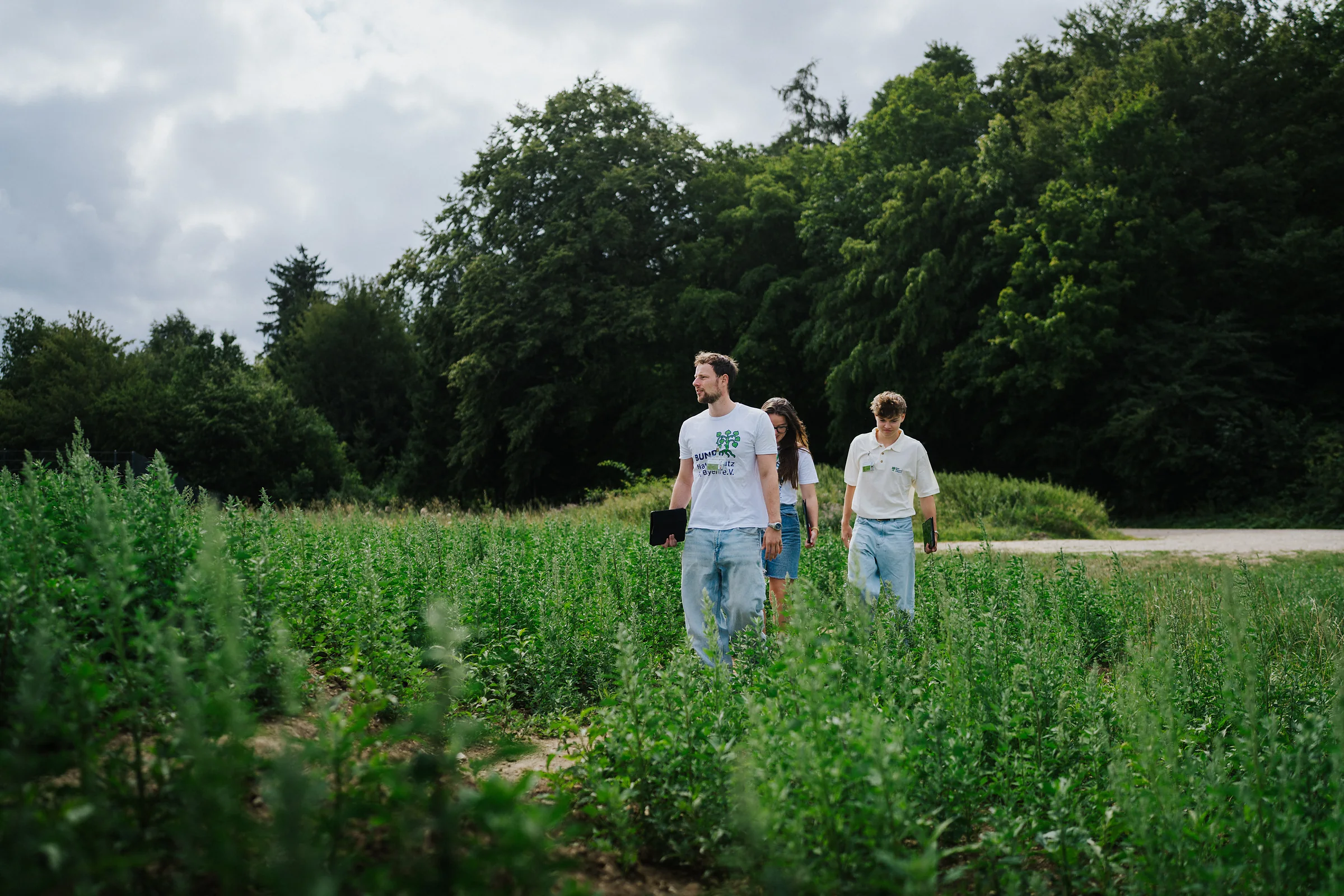 Drei Fundraiser gehen durch eine grüne Fläche am Waldrand